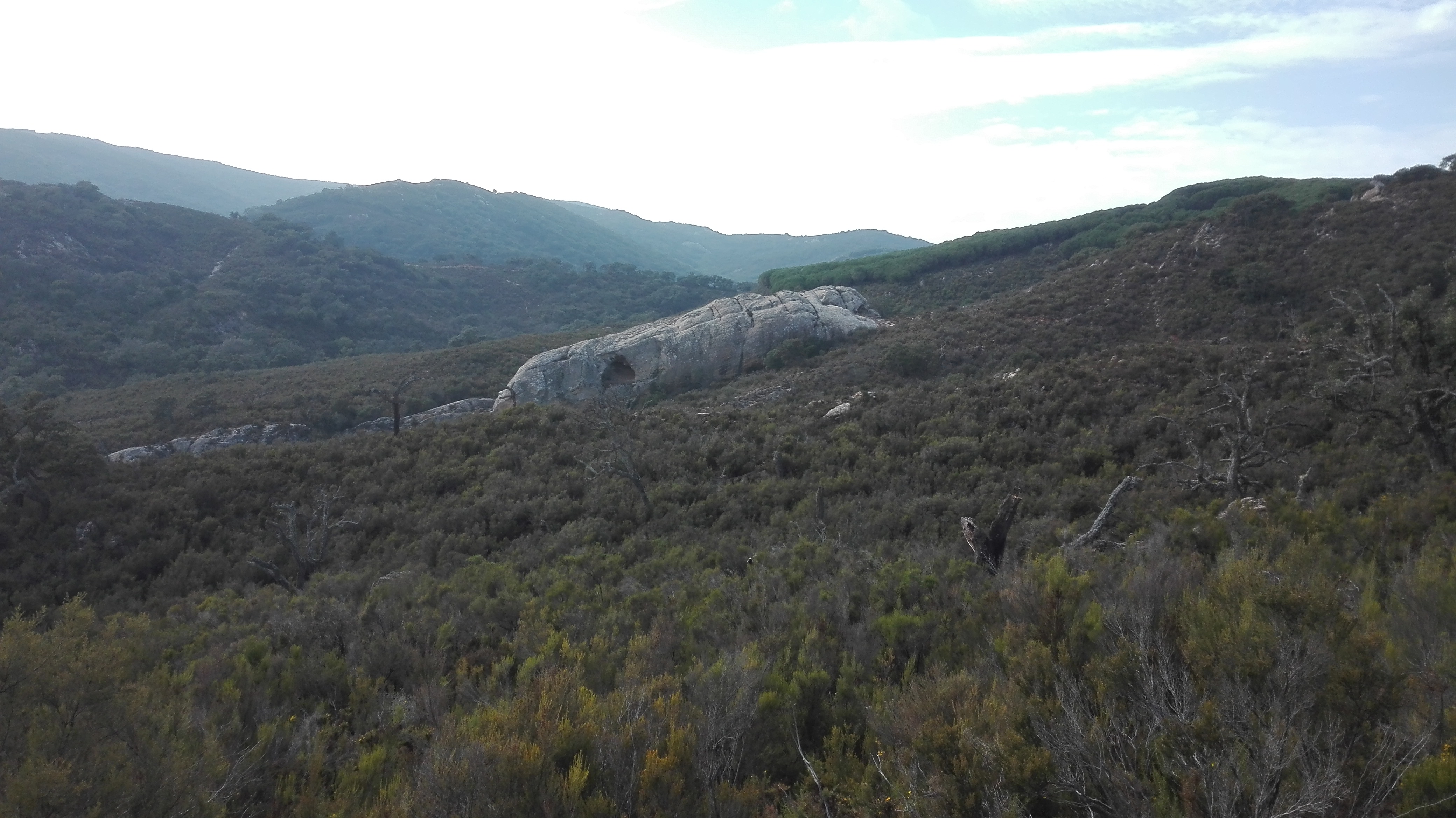 Tajo de Abejeras, finca de la Almoraima. Tajo de Abejeras, finca de la Almoraima.