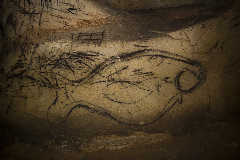 PEZ DE LA PILETA. FOTO NAVARRO PEZ DE LA PILETA. FOTO NAVARRO